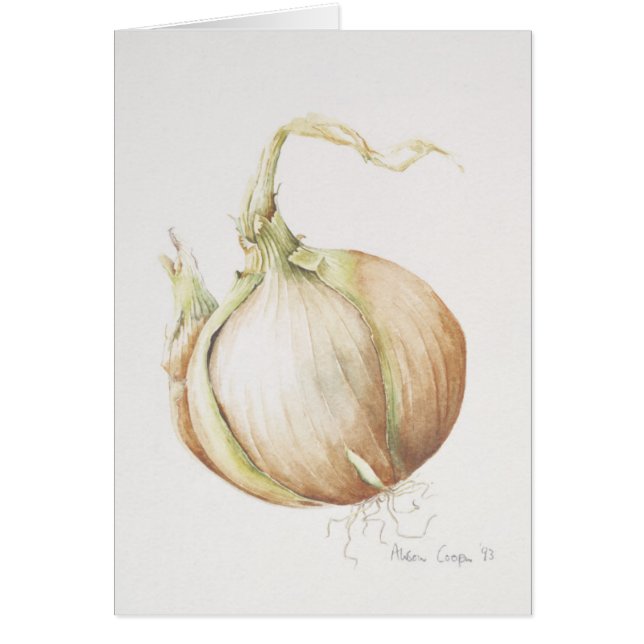 Étude 1993 d'oignon (Devant)