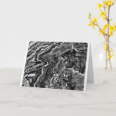 Étude couleur Abstraite 148 / Noir, carte (Fleur jaune)