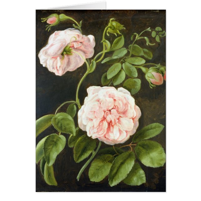 Étude de fleur (Devant)