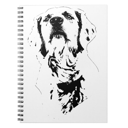Étude de ligne, Journal Calme (Devant)
