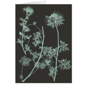 Étude de nature de menthe et de charbon de bois I