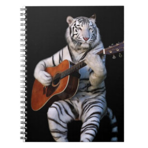 Étude de Tigre Acoustique – Cahier Esthétique