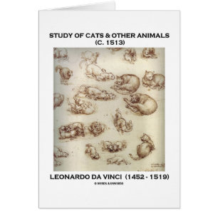 Étude des chats et d'autres animaux (Leonardo da