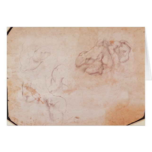 Étude des muscles (Devant horizontal)