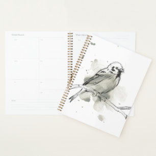 Étude des oiseaux de la nature