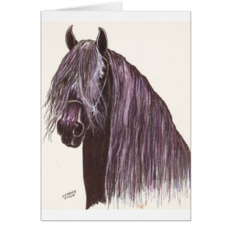 Étude du cheval friésien