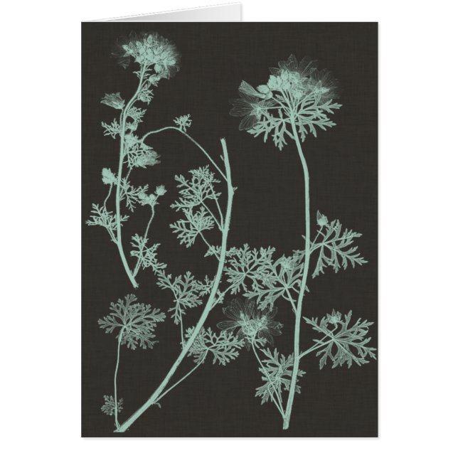 Étude sur la nature de la menthe et du charbon de  (Devant)