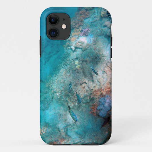 Étui Apple iPhone 11 Case-Mate Tough (Dos)