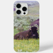 Étui Bison pour iPhone 15 Pro Max (Verso)