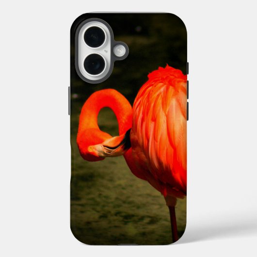 ÉTUI DE TÉLÉPHONE APPLE iPHONE AVEC UN DESIGN FLAM (Verso)