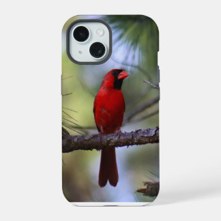 Étui de téléphone Cardinal du Nord