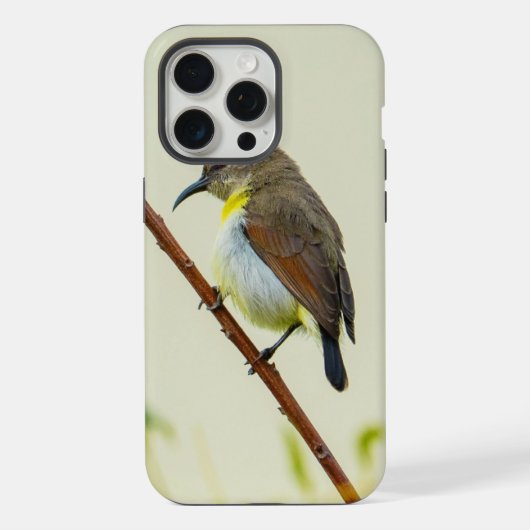 Étui de téléphone Nature Oiseau (Verso)