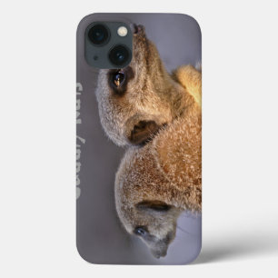 Étui iPad Cuddly Kats