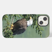 Etui iPhone 13 Aigle de Bald (Verso Horizontal)