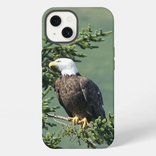 Etui iPhone 13 Aigle de Bald (Verso)