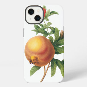 Etui iPhone 13 Aliments Vintage Fruit, Grenade par Redoute