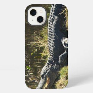 Etui iPhone 13 Alligator se faisant dorer sur la rive d'un marais