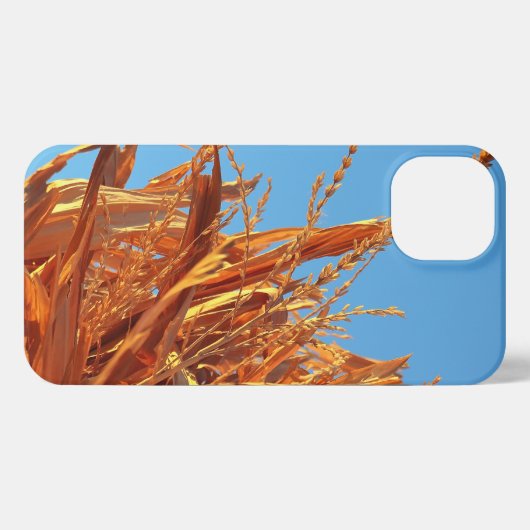 Etui iPhone 13 Amber Waves  (Verso Horizontal)