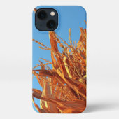 Etui iPhone 13 Amber Waves  (Verso)