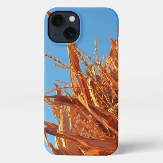 Etui iPhone 13 Amber Waves  (Verso)