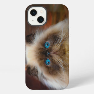 Etui iPhone 13 Animaux Bébés les Plus Mignons Chat Himalayen
