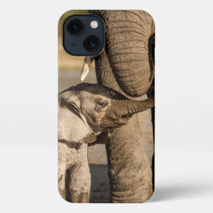 Etui iPhone 13 Animaux de bébés cutest Baby Elephant & Mama