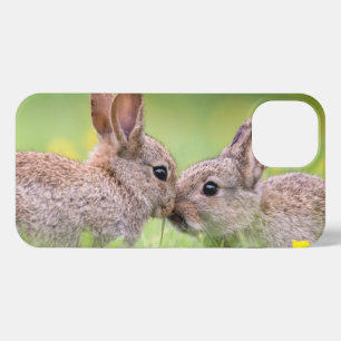 Etui iPhone 13 Animaux de bébés cutest Bunny Kiss