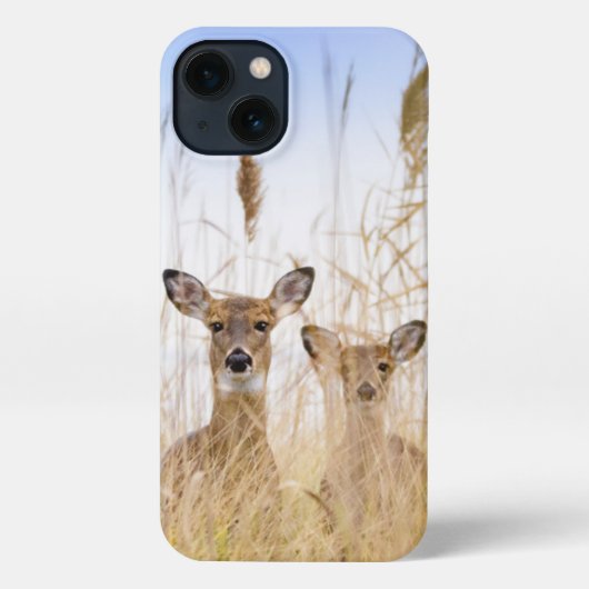 Etui iPhone 13 Animaux de bébés cutest | Deux jeunes cerfs à queu (Verso)