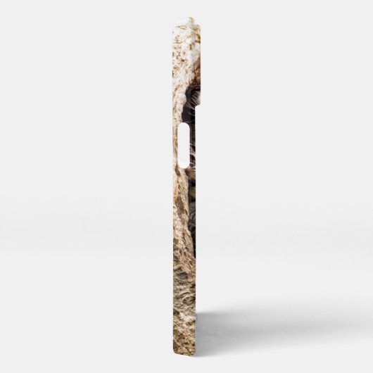 Etui iPhone 13 Animaux de bébés cutest | Écureuils curieux (Côté droit)