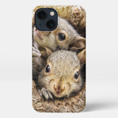 Etui iPhone 13 Animaux de bébés cutest | Écureuils curieux (Verso)