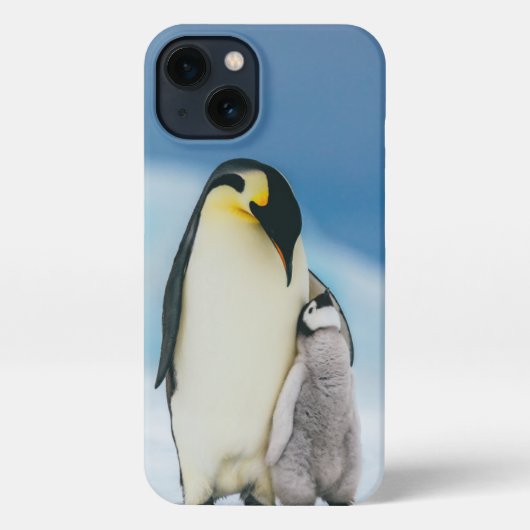Etui iPhone 13 Animaux de bébés cutest | Empereur Penguin Chick (Verso)