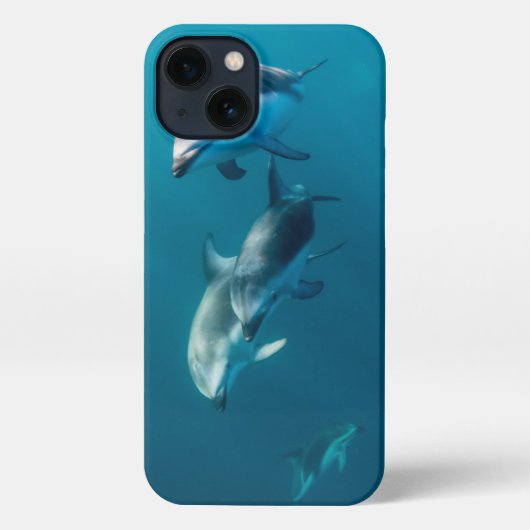 Etui iPhone 13 Animaux de bébés cutest | Famille de dauphins (Verso)