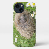 Etui iPhone 13 Animaux de bébés cutest | Hérisson espagnol (Verso)