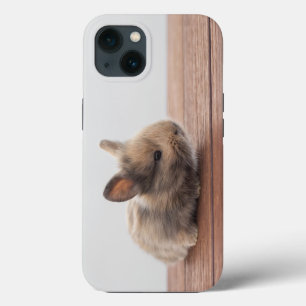 Etui iPhone 13 Animaux de bébés cutest Petit lapin bébé