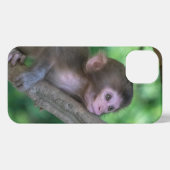 Etui iPhone 13 Animaux de bébés cutest | Singe bébé (Verso Horizontal)