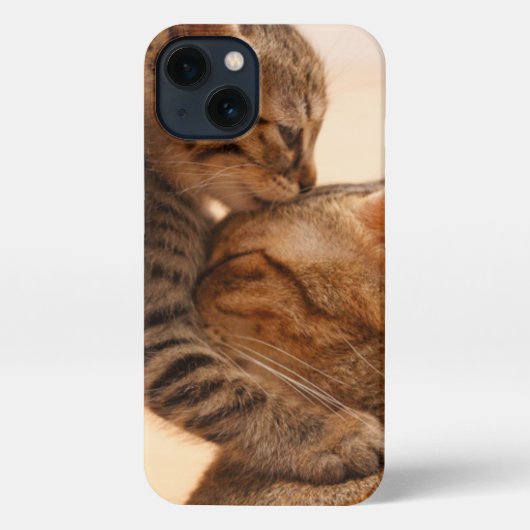 Etui iPhone 13 Animaux de bébés cutest | Tabby Kitten Kiss (Verso)