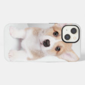 Etui iPhone 13 Animaux de bébés cutest | Tiny Corgi (Verso Horizontal)