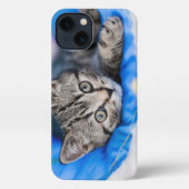 Etui iPhone 13 Animaux de bébés cutest | Tunnel Tabby Kitten en J (Verso)
