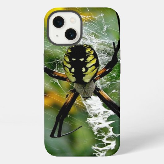 Etui iPhone 13 Araignée d'orbite dans la toile (Verso)