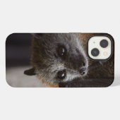 Etui iPhone 13 Batte australienne (Verso Horizontal)
