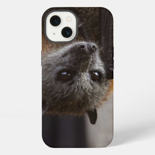 Etui iPhone 13 Batte australienne (Verso)