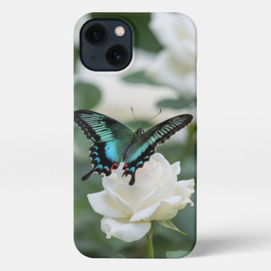 Etui iPhone 13 Beautiful Butterfly and white roses (Verso)