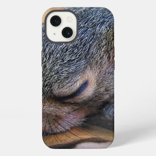 Etui iPhone 13 Bébé écureuil dormant (Verso)