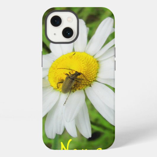 Etui iPhone 13 Beetle Sur Une Faisée (Verso)