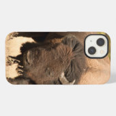 Etui iPhone 13 Bison (Verso Horizontal)
