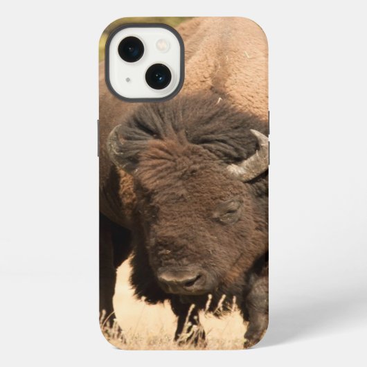 Etui iPhone 13 Bison (Verso)