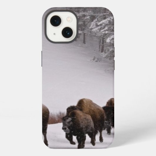 Etui iPhone 13 Bison en hiver (Verso)