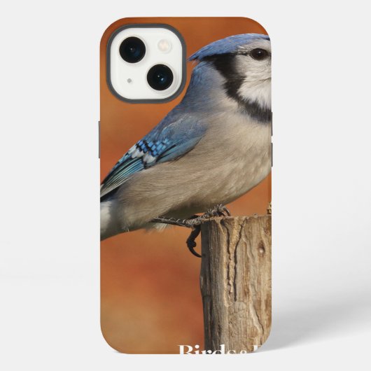 Etui iPhone 13 Blue Jay (Verso)