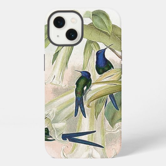 Etui iPhone 13 Boîtier iPhone 6 Oiseaux Colibris (Verso)