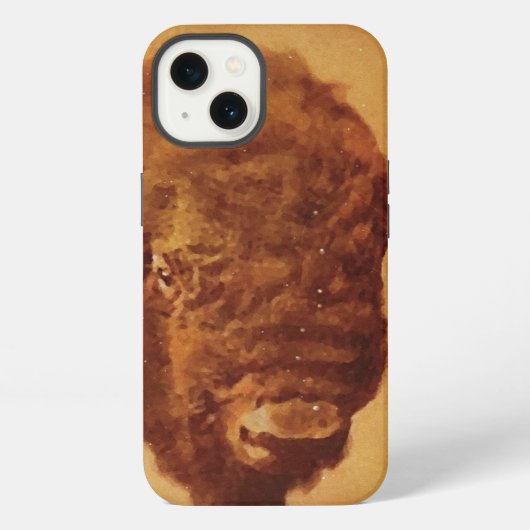 Etui iPhone 13 Buffle Vintage (Verso)